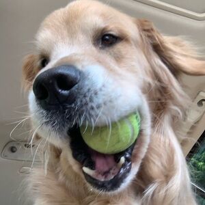 Meet your Posher, Eve